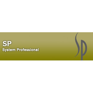 SP System Profesionals