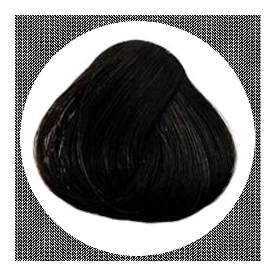 La Riche Directions ebony 89ml Haartönung
